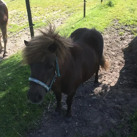 Haus Denker * 브룬스뷔텔