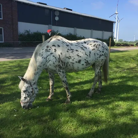 Haus Denker * 브룬스뷔텔