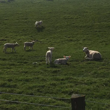 Haus Denker 아파트